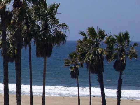 playa-palms.jpg