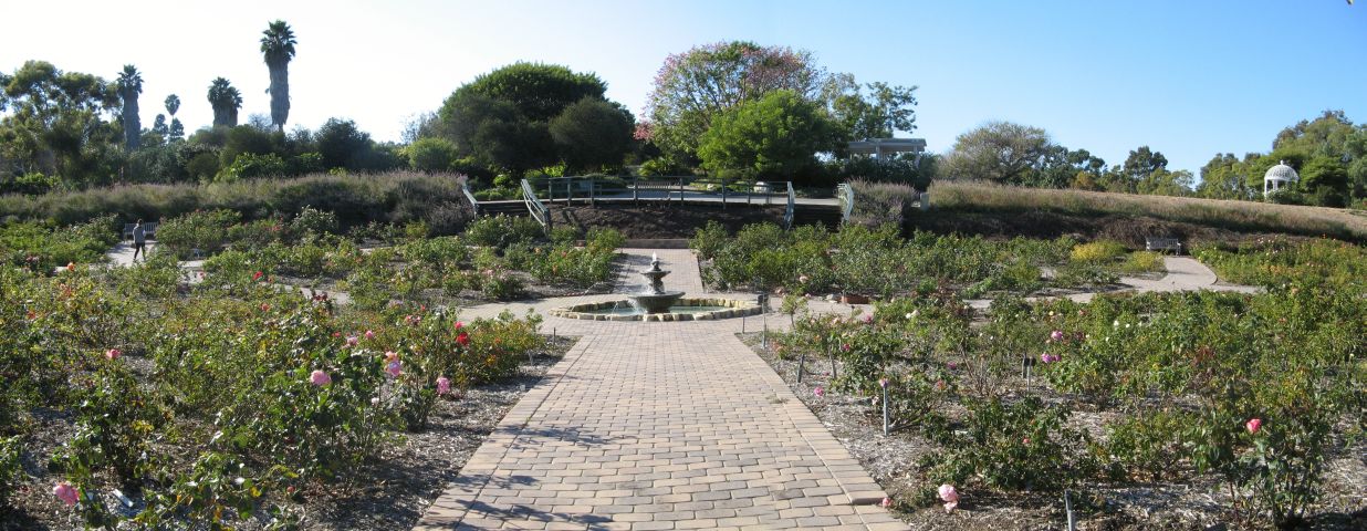 rose-garden-pan