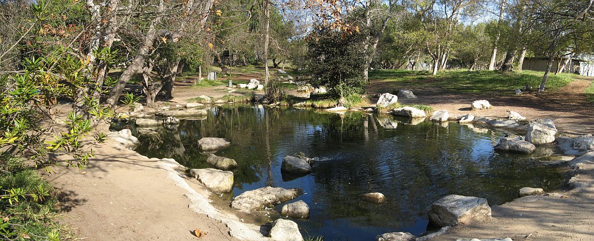 pond