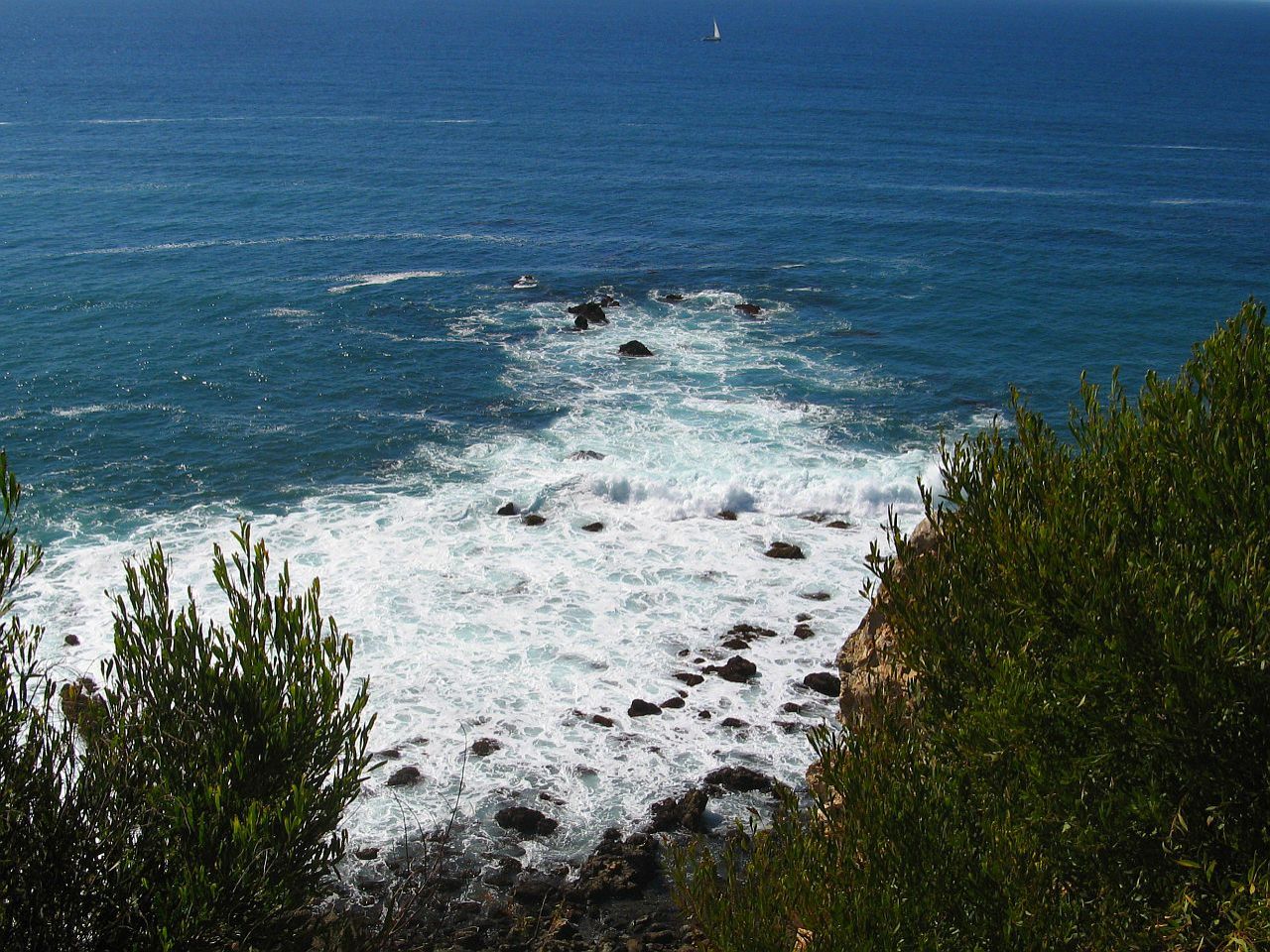 seashore