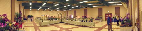 orchid-show-pan.jpg
