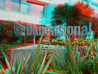 Three Dimensional