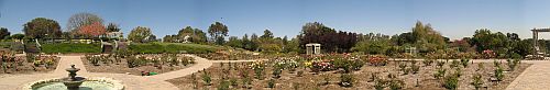Rose Garden 360 degrees