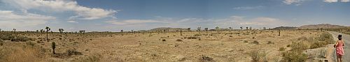 panorama 2