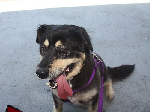 tongue.jpg