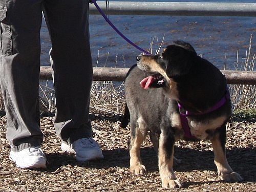 beach-walk.jpg