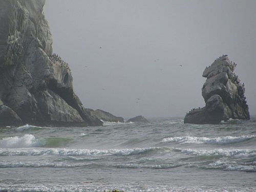 morro-dunes.jpg