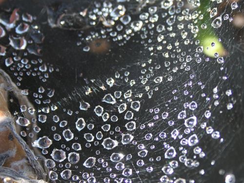 web-drops.jpg