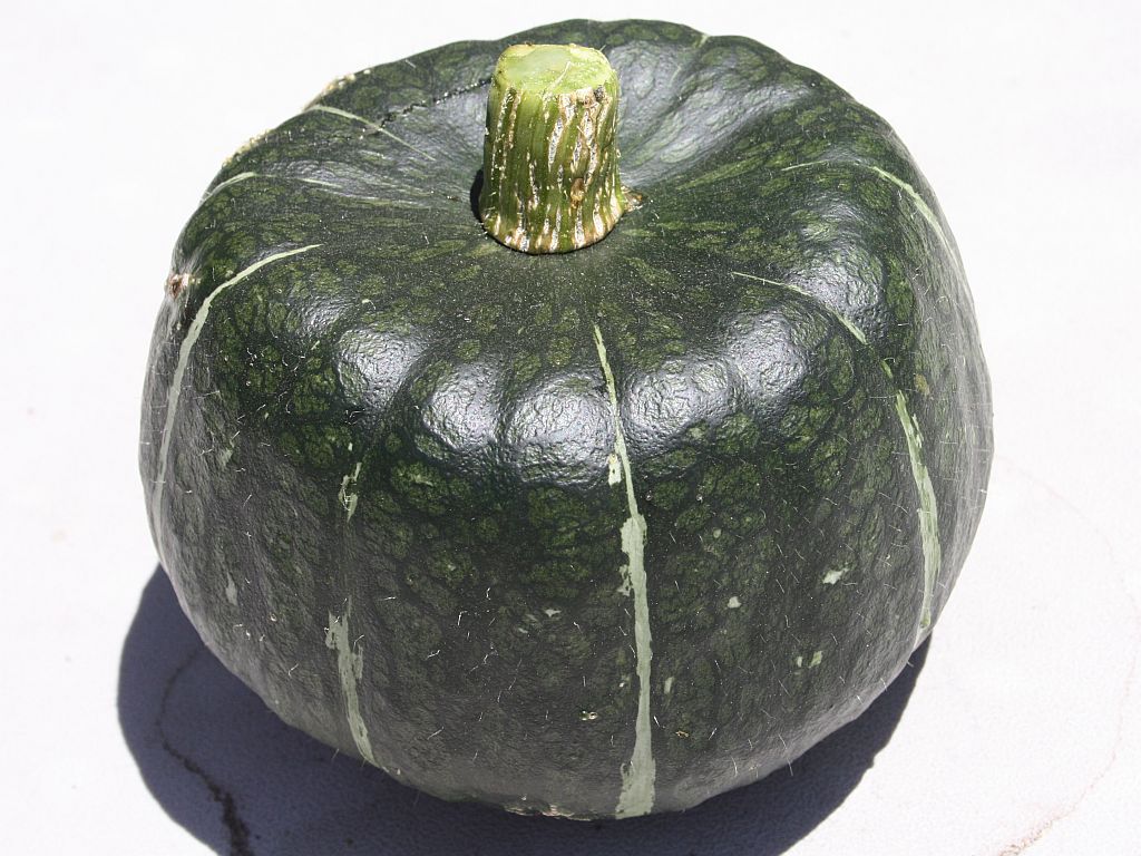 kabocha.jpg
