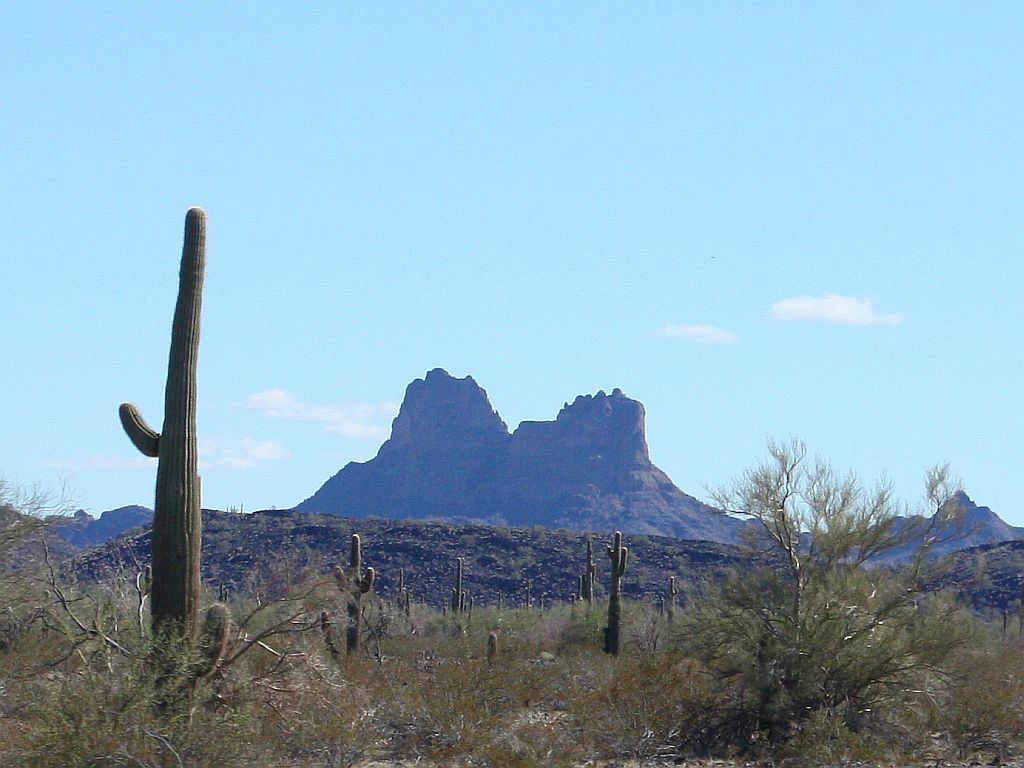 crag-cacti.jpg