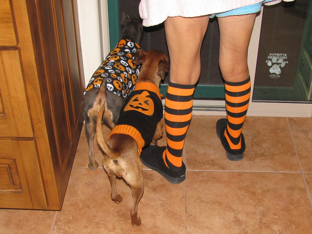 halloween.jpg