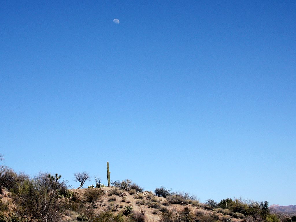 moon-over-town.jpg