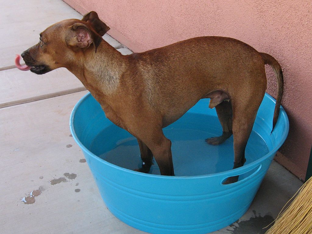 bathtub.jpg