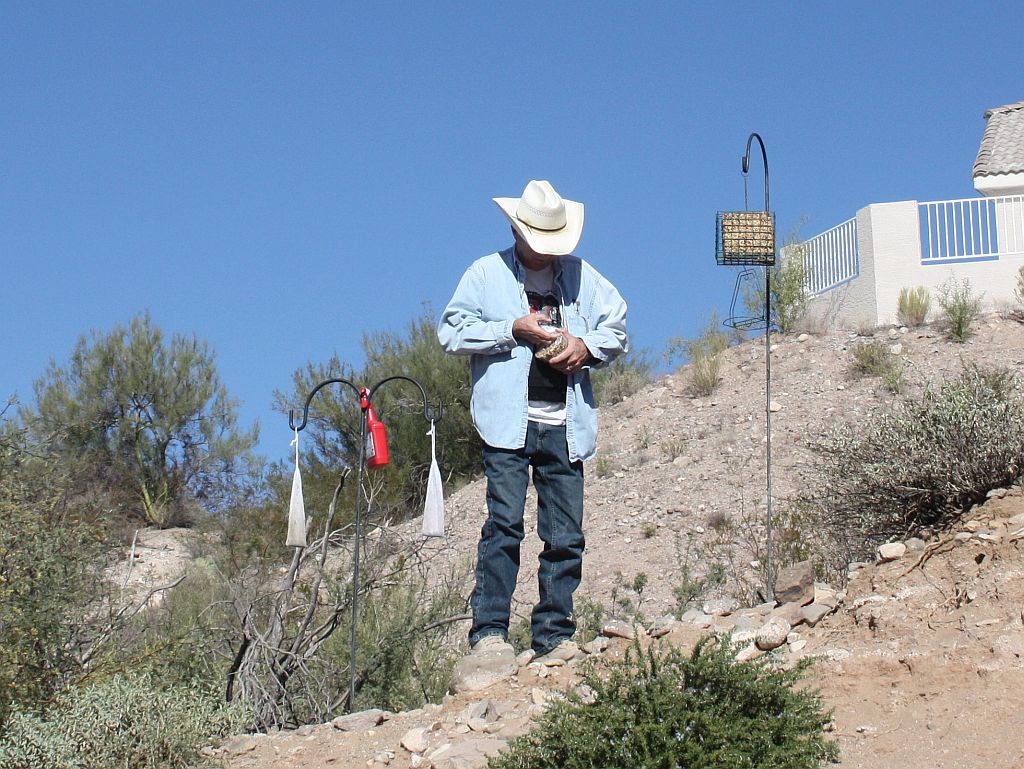 The Birdman of Wickenburg