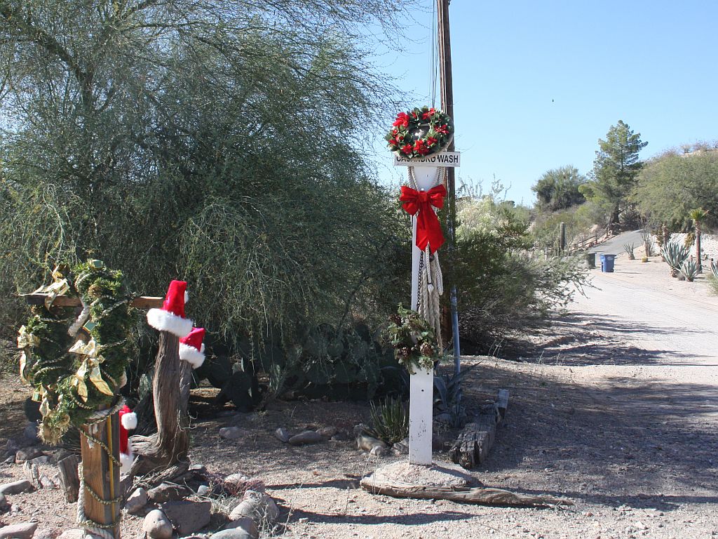 Christmas at Casandro Wash