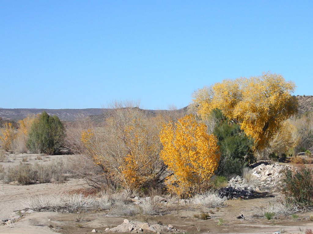 Colors of the Hassayampa River