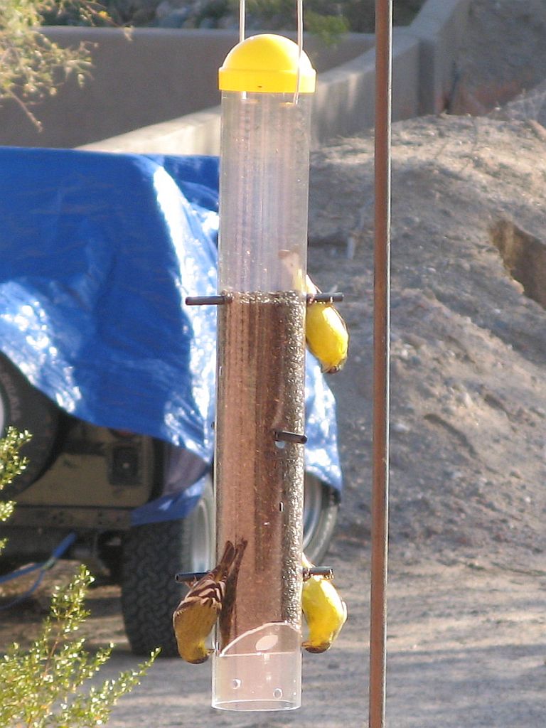 Upside Down Thistle Feeder