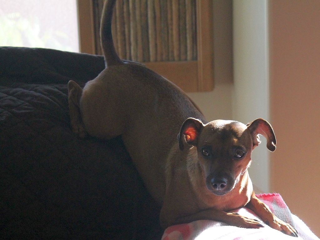 Bay Bay on the Love Seat