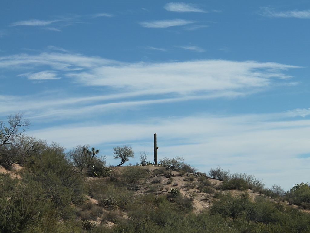Saguaro Hill