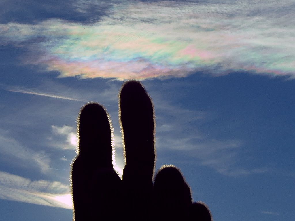 Pastel Clouds over Saguaro