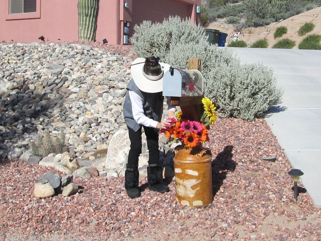 Flowers for the Mailbox