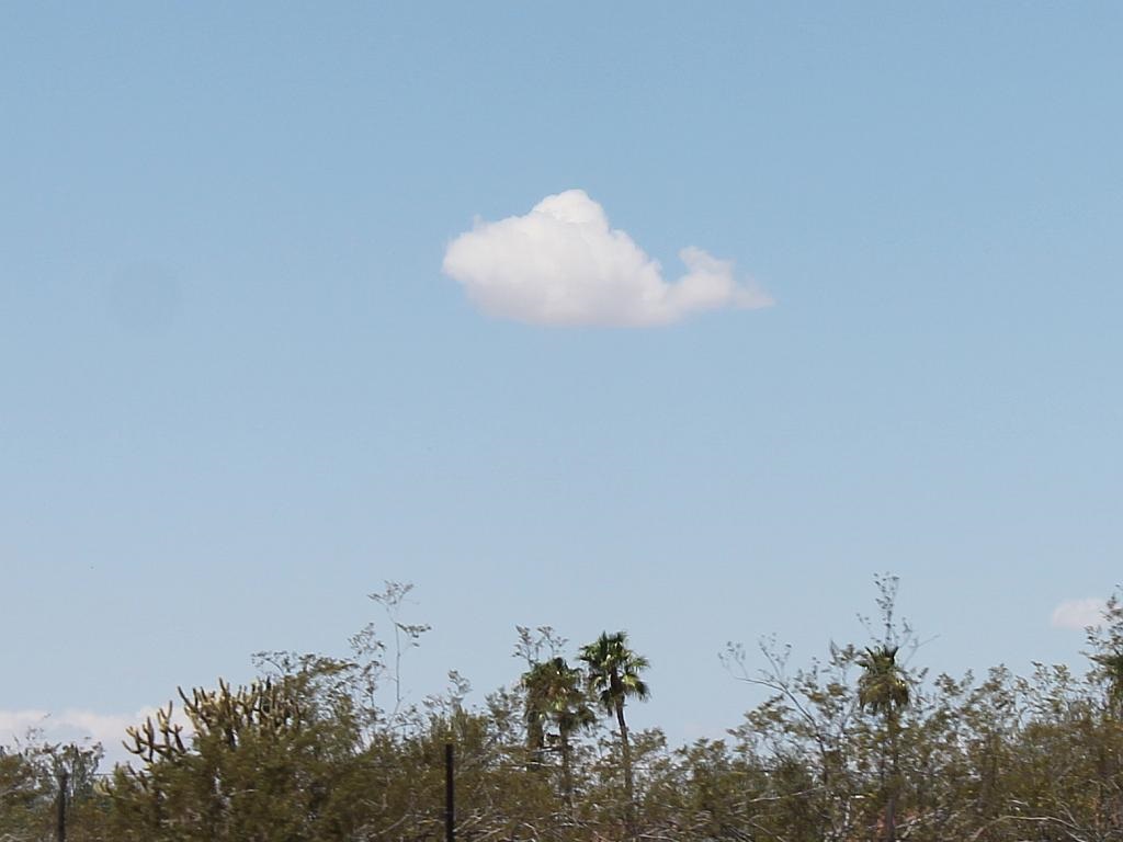 Whale Cloud