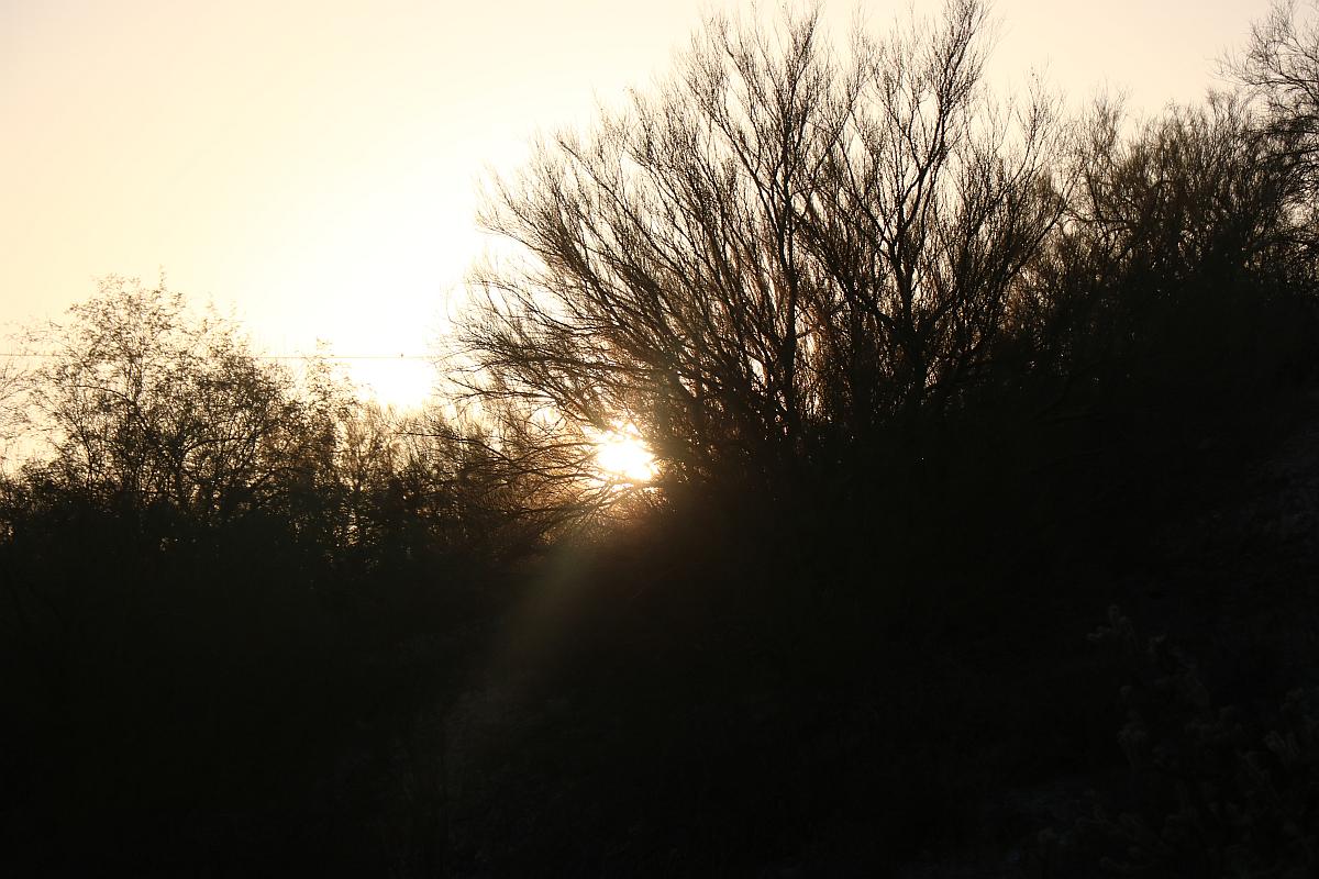 Last Desert Sun Ray